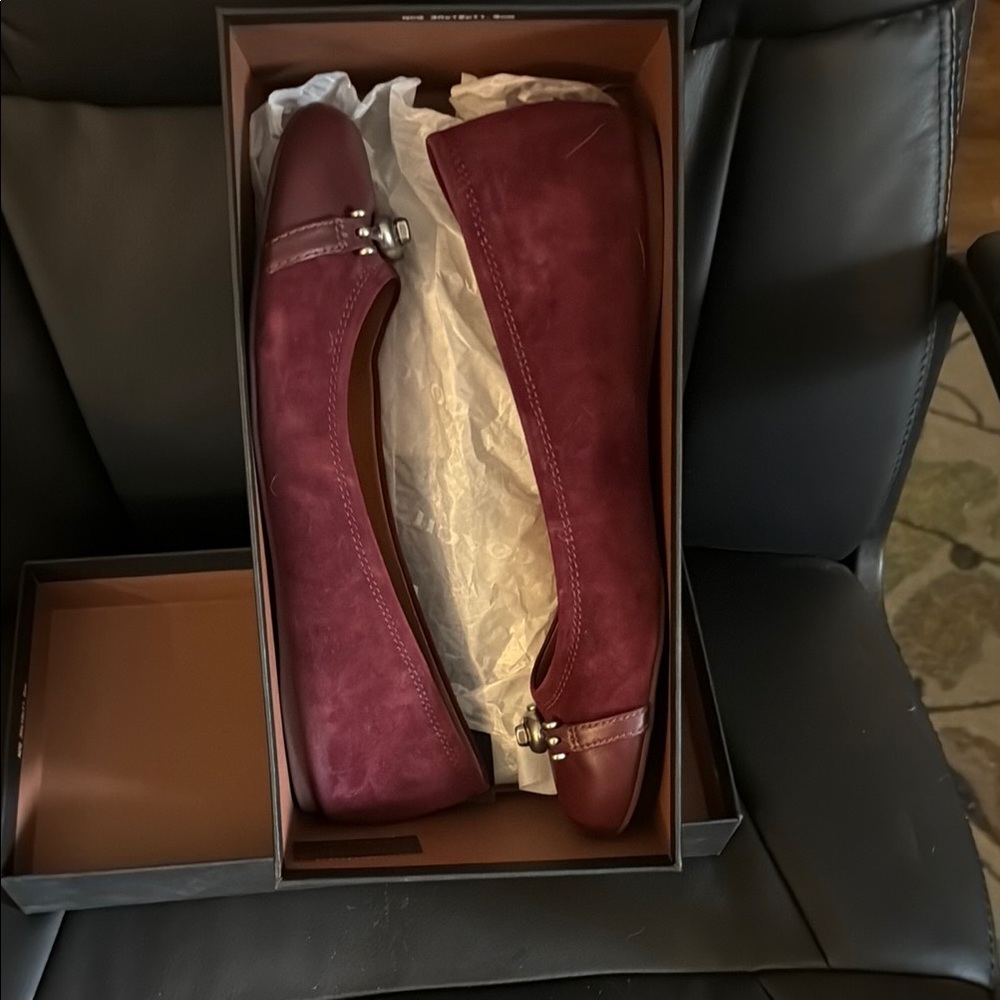 GAP Burgundy Flats with Silver Accents